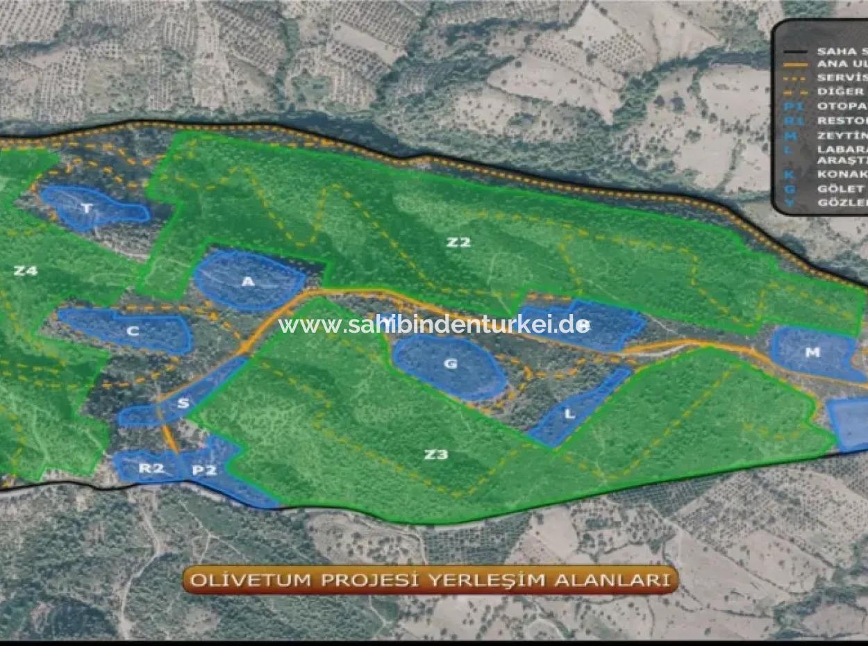 Kaz Dağları 9068 M2 Tarla Ekoturizm Alanı